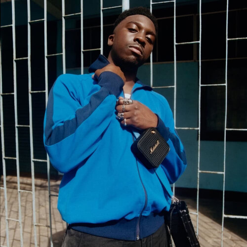 Колонка Marshall WILLEN II Black and brass, Цвет: Черный/латунь, изображение 2