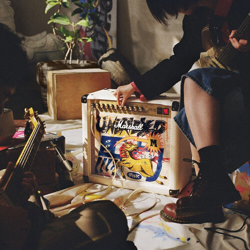 Комбоусилитель Marshall STUDIO 900 COMBO LUNAR NEW YEAR EDITION 2026, изображение 2